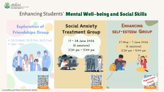 Social Skills Workshops